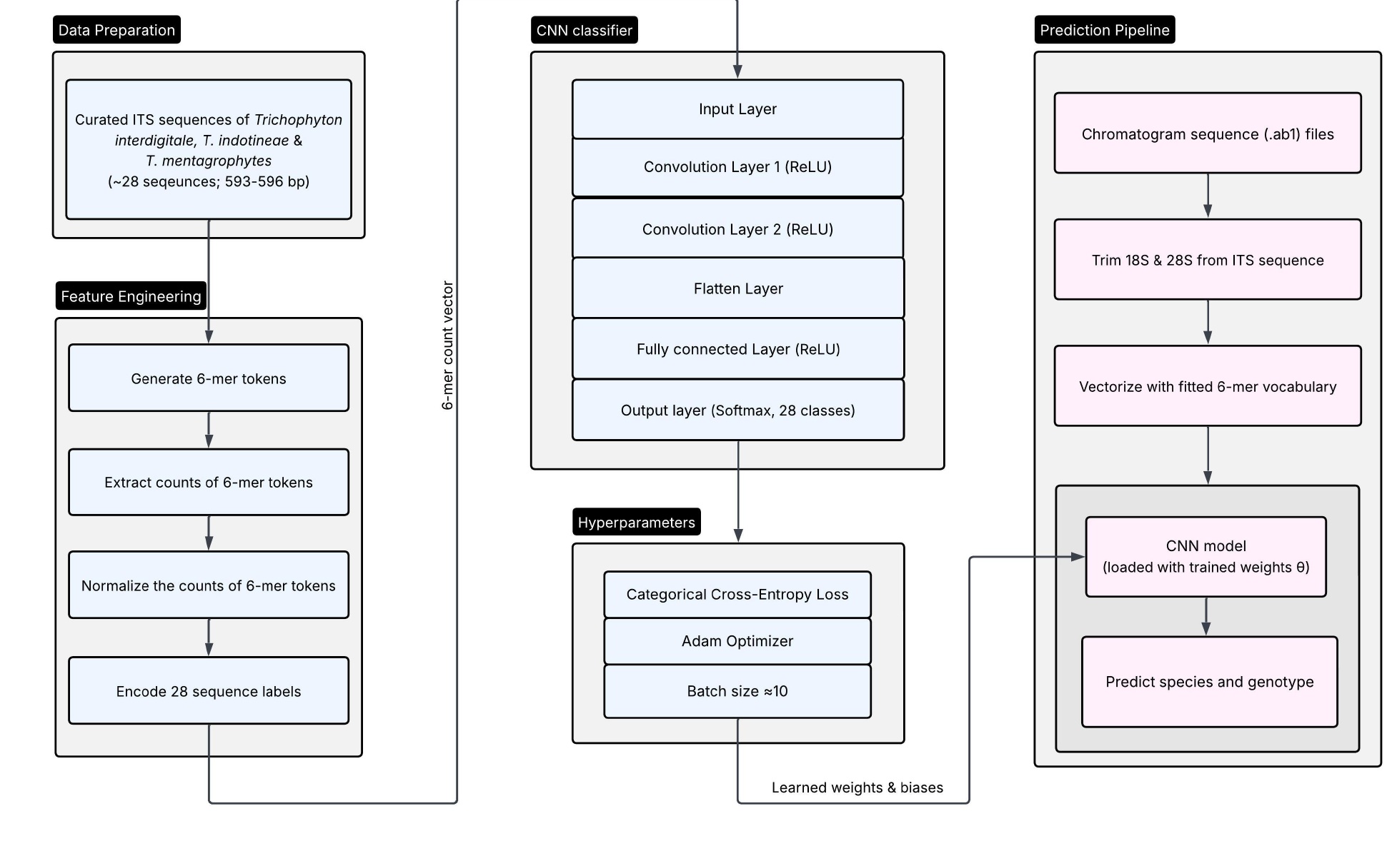 Mycology pipeline