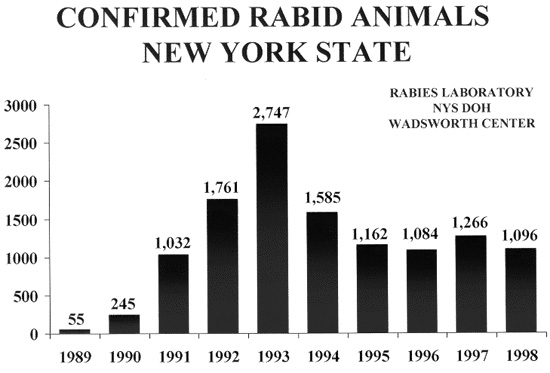 table: Confirmed Rabin Animals in New York State