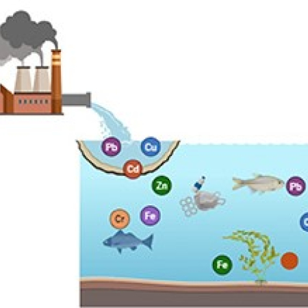 News square for acid free sonochemical extraction