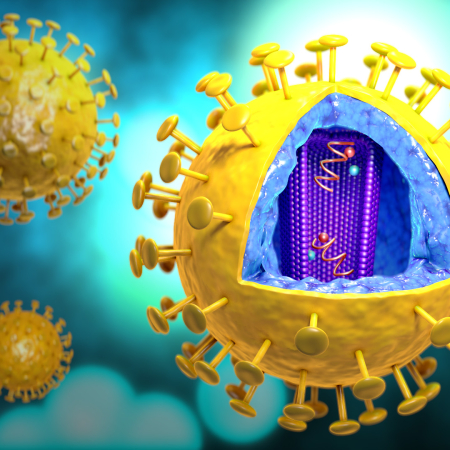 human immunodeficiency virus credit CDC