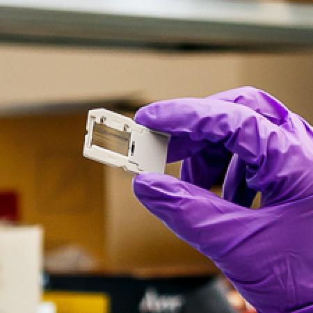 Chip used in sequencing at Wadsworth Center's Advanced Genomic Technologies Core Chip used in sequencing at Wadsworth Center's Advanced Genomic Technologies Core