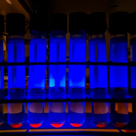 TB Testing TB Testing