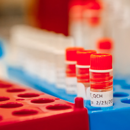 POLEP News Item POLEP News Item