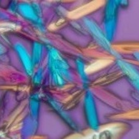 Polarized light image of glucose. Richard Cole, Wadsworth Center Polarized light image of glucose. Richard Cole, Wadsworth Center