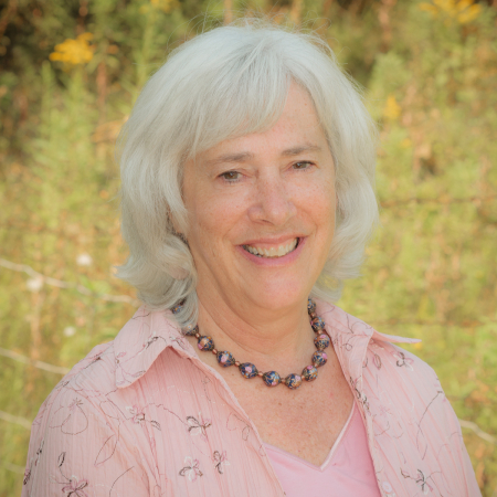 Laura Kramer, Ph.D., Director of the Arbovirology Laboratory Laura Kramer, Ph.D., Director of the Arbovirology Laboratory