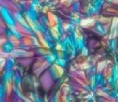 Polarized light image of glucose. Richard Cole, Wadsworth Center Polarized light image of glucose. Richard Cole, Wadsworth Center