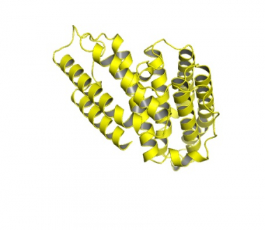 AlphaFold image of predicted cell-surface kin-identifier protein AlphaFold image of predicted cell-surface kin-identifier protein