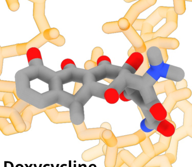 Banavali Lab doxycycline large