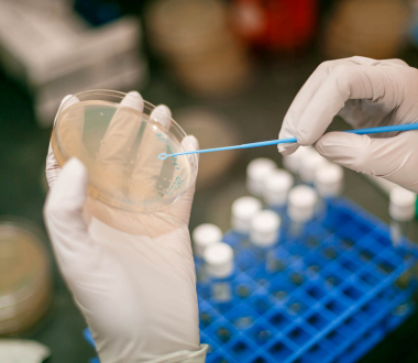 MLS Programs incorporates benchwork