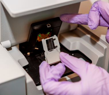 Newborn Screening Program Prepares Other States for New Test Implementation Newborn Screening Program Prepares Other States for New Test Implementation