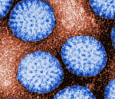 Rotavirus. Photo credit: Bryon Skinner; Content providers: CDC/Dr. Erskine Palmer Rotavirus. Photo credit: Bryon Skinner; Content providers: CDC/Dr. Erskine Palmer