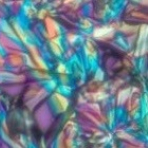 Polarized light image of glucose. Richard Cole, Wadsworth Center