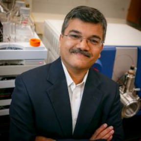 Kurunthachalam Kannan, Ph.D.