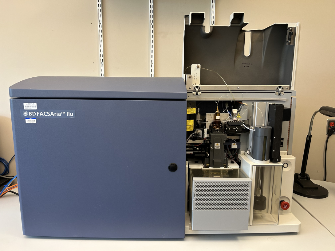 BD FACS Aria II