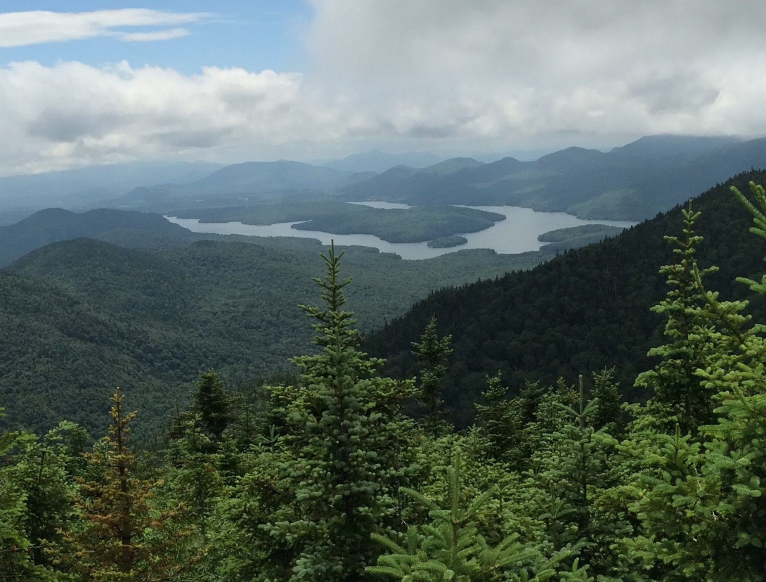 Water amid trees and mountains