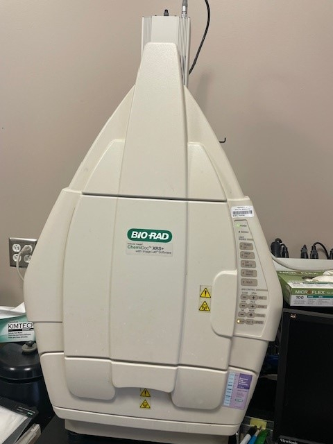 Gel Imager Gel Imager