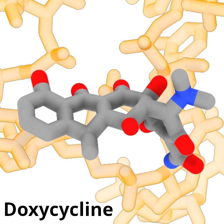 Banavali Lab doxycycline large