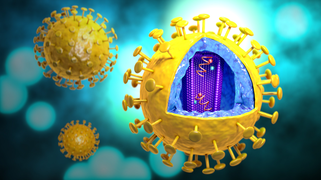 human immunodeficiency virus credit CDC