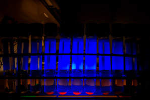 Cultures sent for mycobacterium testing are inoculated into MGIT ™ tubes. Growth is detected using fluorescence. (Photo by Dennis Biggins)