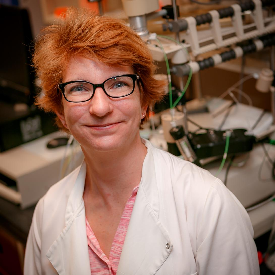 Karen J. Chave Karen J. Chave