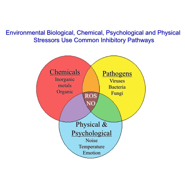 Environmental, biological, chemical psychological and physical stressors use common inhibitory pathways Environmental, biological, chemical psychological and physical stressors use common inhibitory pathways