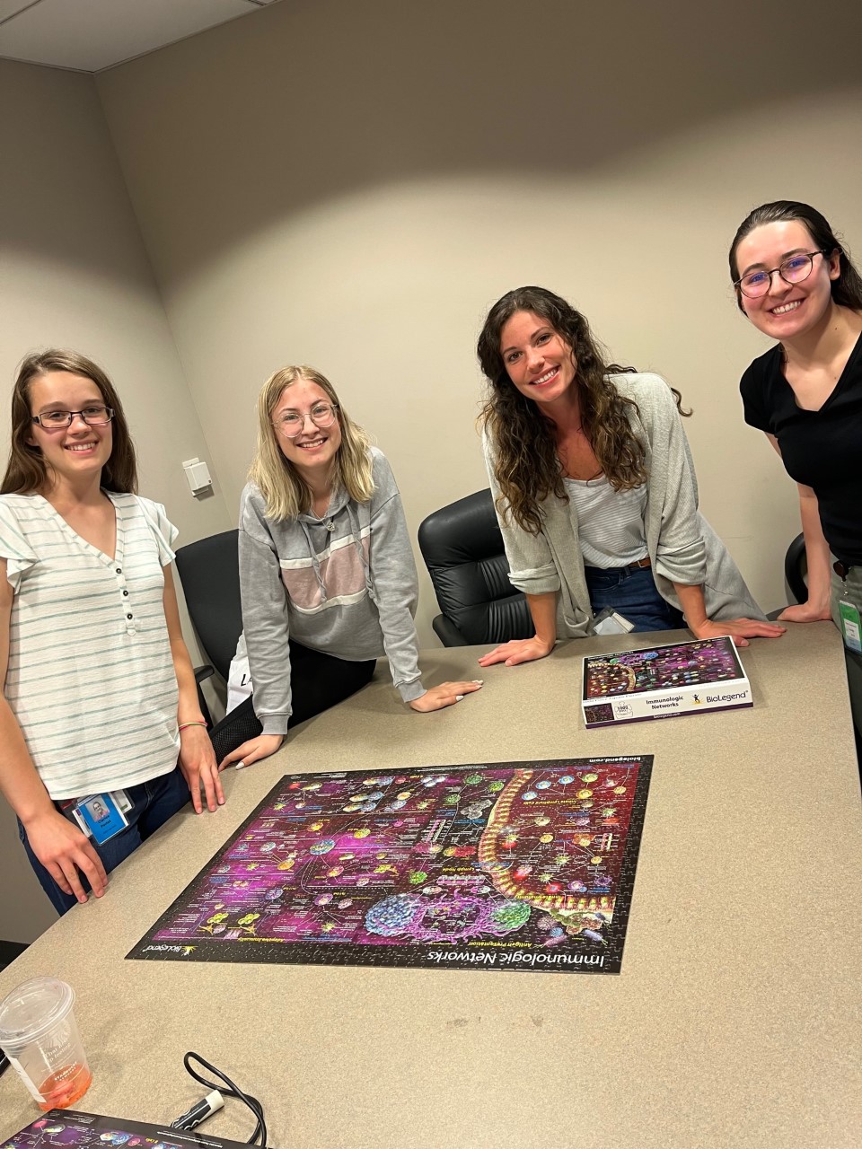 Teaching REU students about immune system pathways with puzzles